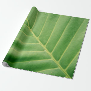Papier Cadeau Fermer la photo de la feuille verte