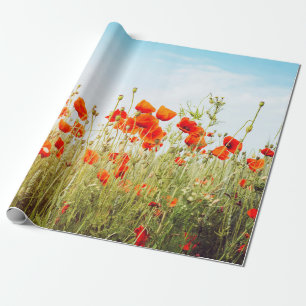 Papier Cadeau Fermez les pavots sur le terrain. Fleurs sauvages 