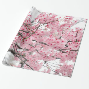 Papier Cadeau Festival de Hansami du printemps, fleurs de cerisi
