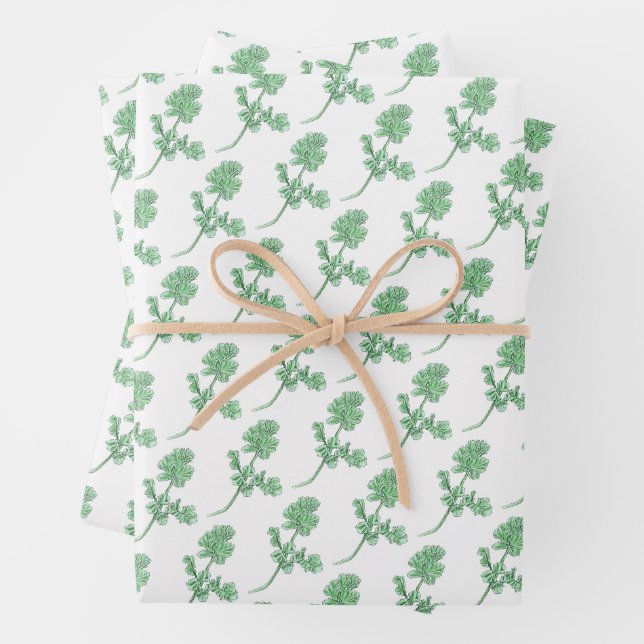Papier Cadeau Feuille de céleri (En situation)