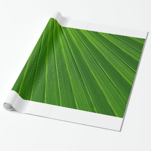 Papier Cadeau Feuille de palme
