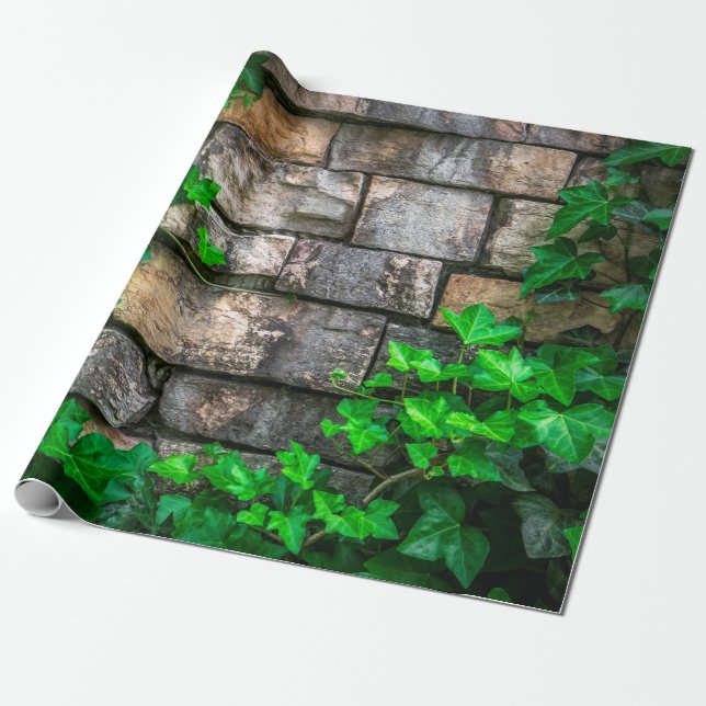 Papier Cadeau Feuille de vigne blanche feuille plante (Déroulé)
