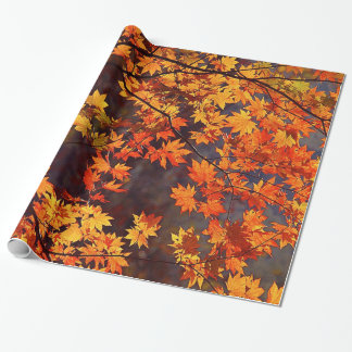 Papier Cadeau Feuille d'érable japonais de couleur de chute