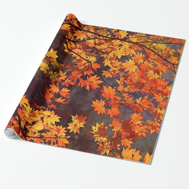 Papier Cadeau Feuille d'érable japonais de couleur de chute (Déroulé)