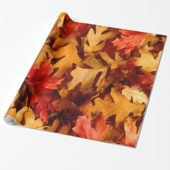 Papier Cadeau Feuille multicolore de chêne d'automne (Déroulé)