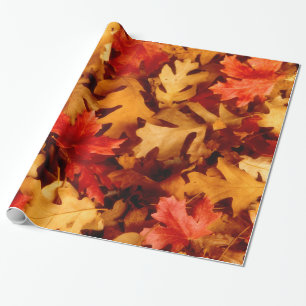 Papier Cadeau Feuilles d'automne - Couleur d'automne