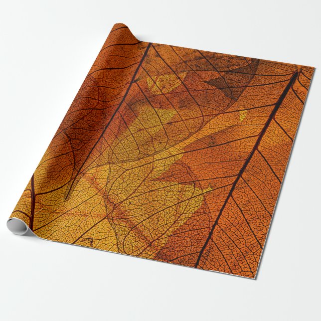 Papier Cadeau feuilles d'automne dans les détails automne, arriè (Déroulé)