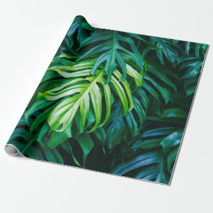 Papier Cadeau Feuilles verts tropicaux sur arrière - plan sombre