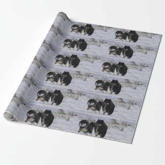 Papier Cadeau Finnish Lapphunds