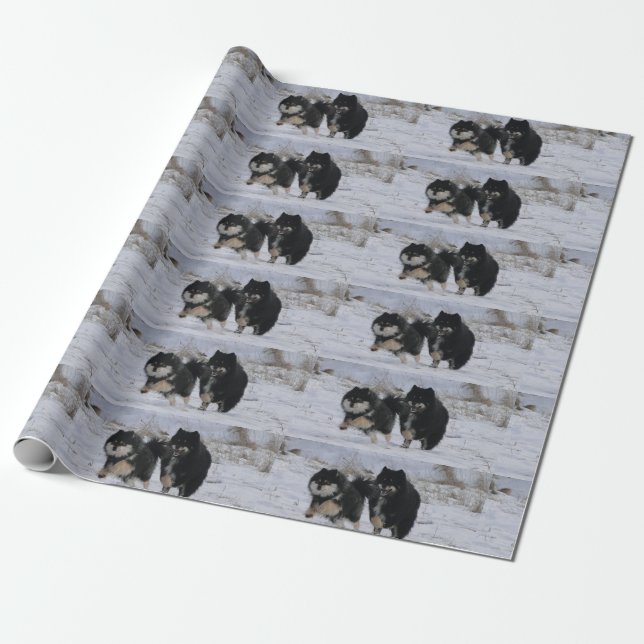 Papier Cadeau Finnish Lapphunds (Déroulé)