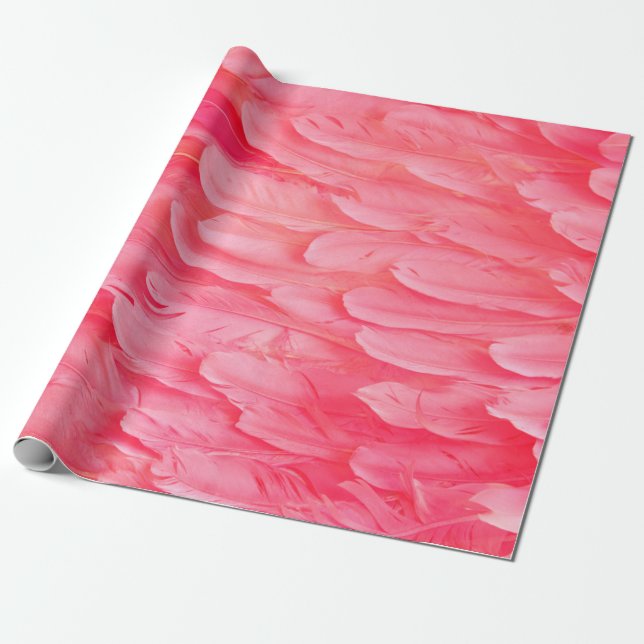 Papier Cadeau Flamant rose rose Feathersflamingo, plume, rose, t (Déroulé)