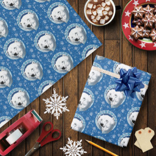 Papier Cadeau Flèches de neige Ours Polaire Art Nouveau