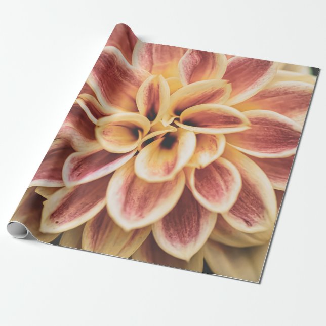 Papier Cadeau Fleur Dahlia d'été (Art Floral) (Déroulé)