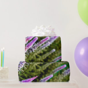 Papier Cadeau Fleur de l'étoile noire des Prairies violettes et