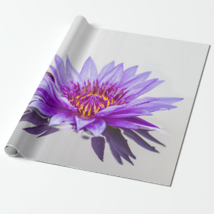 Papier Cadeau Fleur de lotus pourpre Zen