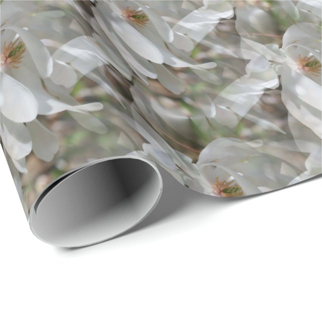 Papier Cadeau Fleur de Magnolia Blanche Fleur Nature   (Coin rond)