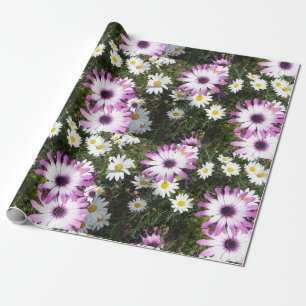Papier Cadeau Fleur de salade rose et blanc Enveloppement