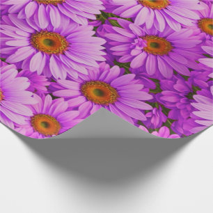 Papier Cadeau Fleur de soleil à fleurs de magenta violet marguer