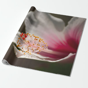 Papier Cadeau Fleur d'Hibiscus hawaïen rose et blanc tropical