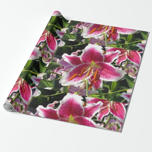 Papier Cadeau Fleur rose rose rose rose fleur rose fleur tropica (Déroulé)