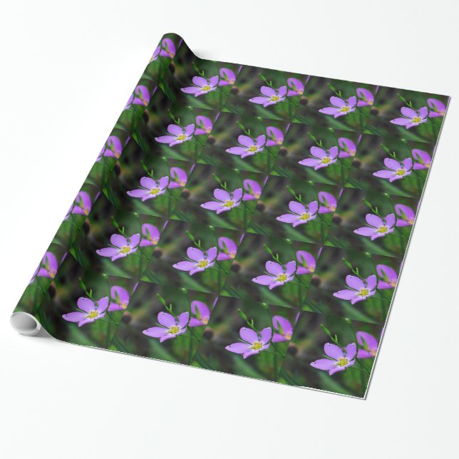 Papier Cadeau Fleur sauvage papier d'enveloppement Sabatia en La (Déroulé)