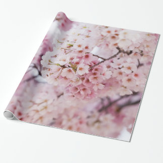 Papier Cadeau Fleurs de cerisiers