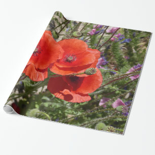 PAPIER CADEAU FLEURS DE COQUELICOT