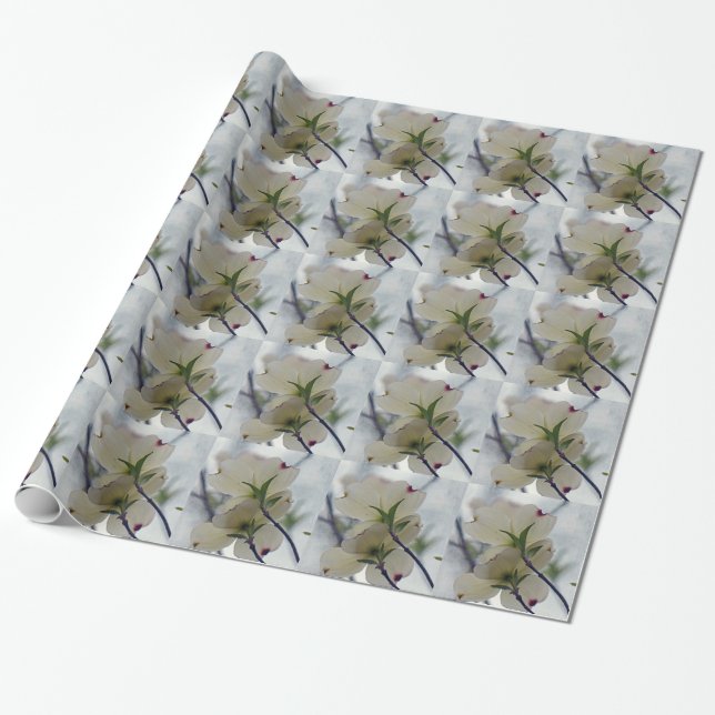 Papier Cadeau Fleurs de Dogwood (Déroulé)