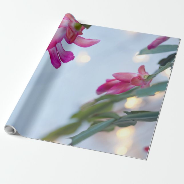 Papier Cadeau fleurs de noël (Déroulé)