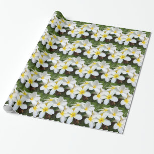 Papier Cadeau Fleurs de Plumeria d'Hawaï