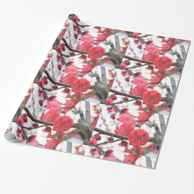 Papier Cadeau fleurs de prune fleurs rose de printemps 2 papier  (Déroulé)