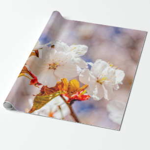 Papier Cadeau Fleurs De Sakura Impressionnantes Par Un Jour Enso