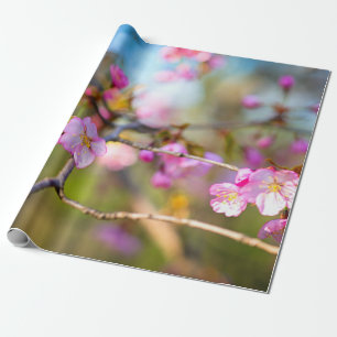 Papier Cadeau Fleurs De Sakura Rose Artistique Dans Le Jardin De
