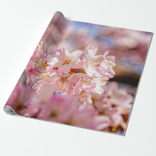 Papier Cadeau Fleurs De Sakura Rose Étonnantes Et Extraordinaire