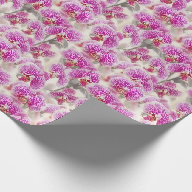 Papier Cadeau Fleurs d'orchidées Floral rose (Coin)