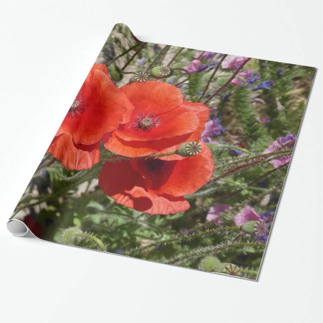 PAPIER CADEAU FLEURS POPPY (Déroulé)