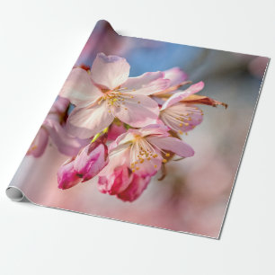 Papier Cadeau Fleurs Sakura Éblouissantes. Arrière - plan Beige 