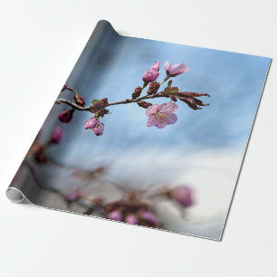 Papier Cadeau Fleurs Sakura Roses, Ciel Bleu, Nuage Blanc