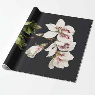 Papier Cadeau Fleurs vintages blanches et roses sur noir