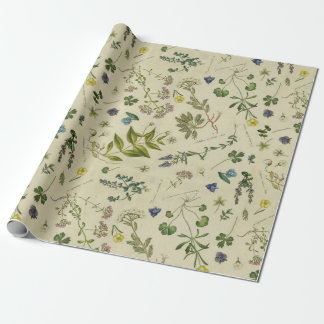Papier Cadeau Fleurs Vintages botaniques Illustrations Motif