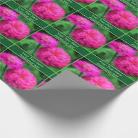 Fleurs Zinnia Rose Personnalisées