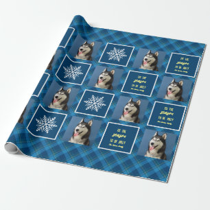 Papier Cadeau Flocon de neige & Favoris. Photo. Bleu.