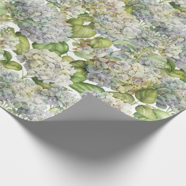 Papier Cadeau Floral botanique d'hortensia bleu de lavande (Coin)