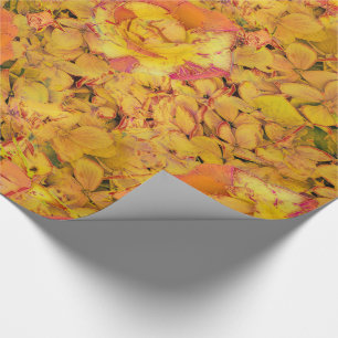 Papier Cadeau Flore du soleil du midi