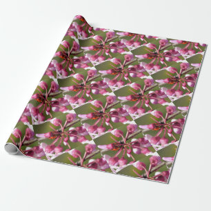 Papier Cadeau Flower Redbud avec Ladybug