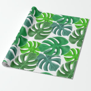 Papier Cadeau Foliage Tropical Monstera Feuille