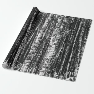 Papier Cadeau Forêt abstraite noire et blanche de bouleau