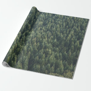 PAPIER CADEAU FORÊT D'ARBRE DE PINS