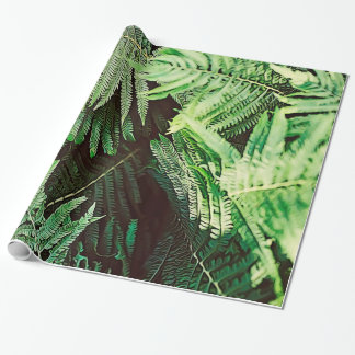 Papier Cadeau Forêt de fougères vertes