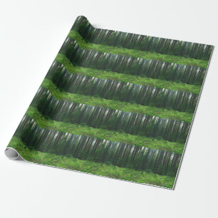 Papier Cadeau Forêt d'été dense : Panorama paysager.